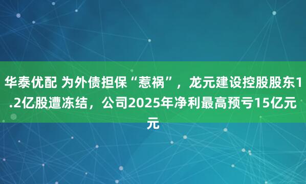 华泰优配 为外债担保“惹祸”，龙元建设控股股东1.2亿股遭冻结，公司2025年净利最高预亏15亿元