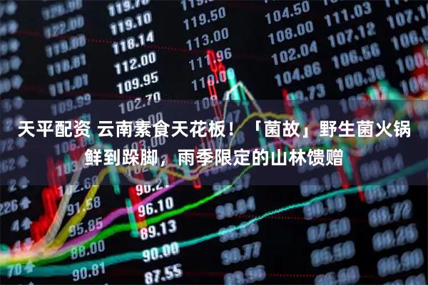 天平配资 云南素食天花板！「菌故」野生菌火锅鲜到跺脚，雨季限定的山林馈赠